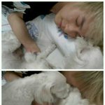 <b>틴탑</b>의 엘조집
