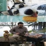 주인님아 <b>한입</b>만 주라~