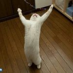 <b>기운</b>이 솟아오르고잇어.jpg