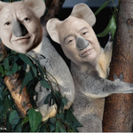 길가다 주운 <b>동물</b>을 주웠습니다