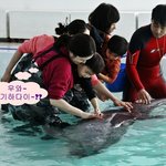 [제주도 가족여행] 마린<b>파크</b> 돌고래 체험장