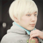 힘쨔 <b>목덜미</b>보호