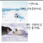 세상에서가장나쁜동물은인간들입니다
