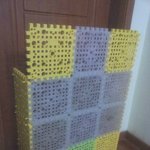 고양이와 집사의 대결