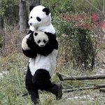 ###앗싸 <b>납치</b>성공~###