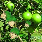 나 <b>본업</b> 오징어