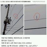 창문으로던진 <b>샤프</b>가 전깃줄에 꽃혔다