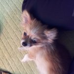 *.*다들 아직두 애기로 착각하는 울집<b>숙녀</b>들