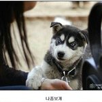 나좀<b>보개</b>.jpg
