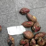 안양<b>비산동</b>에 위치한 공판장 판매자들진짜 상식이하네요 사진 有