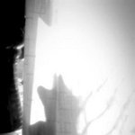 [냥] 똥꼬발랄 신이 4