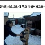 귀성길 유머모음집 심심할때 보면 좋을듯!!