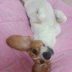 11탄+수정^^;) 야롱이의 야매 <b>뷰티</b> 클래스