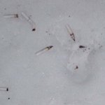 아파트 <b>복도</b>에서 담배꽁초 투하