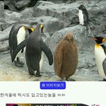 겨울에 <b>정장</b>입냐.jpg