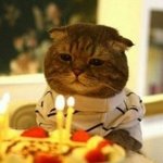 한살 또먹냥.jpg