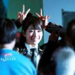 <b>바퀴</b>벌레 더듬이의 진실
