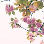 소설) 고개 <b>너머</b> 2