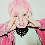 <b>젤로</b>