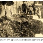 19<b>세기</b> 달러환율.jpg