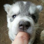 <b>시발</b> 여긴 미쳤어