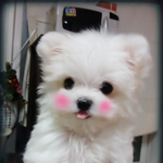 <b>아랑</b>똥꼬~