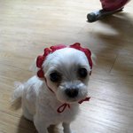 아프지말구 꼭 오래살길 빈다!