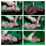 우리집 공주님을 소개합니다- (출산후기) 스압