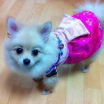 울딸랑구 크림<b>포</b><b>메</b>