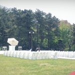 저희 스드메 현황 공유합니다! 조언 부탁해요