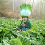 여기 은근 <b>인티</b>인들 개많드라