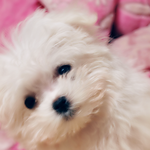 설이의 카메라 적응기!@@