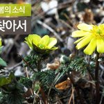 [전남<b>여수</b>여행] 벌써봄이!??! 복사꽃정말 이쁘네요 ㅠㅠ