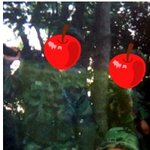 긴급<b>입수</b> 탈무드 이라크 파병사진<b>입수</b>