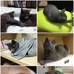 모바일 <b>세장</b> 업뎃 해결방법ㅎㅎ