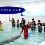 [제주도 가족여행] 마린파크 돌고래체험<b>장</b>