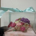 발렌타인데이 형제간 <b>주먹다짐</b>(?)