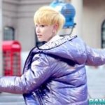 꼬마젤로 <b>루팡</b>!