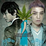 뜬금폰데 <b>대마</b> 할수도있는거아닌가요?