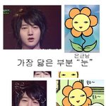 <b>예성</b>이 닮은꼴들
