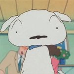 짱구강아지흰둥이실체!(꼭<b>바야</b>함.....진짜중요. .)