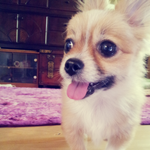 *.*다들 아직도 아기로 착각하는 울집<b>숙녀</b>들!