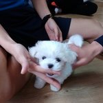 말썽꾸러기지만 이뿐우리하늘이