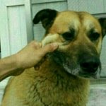 느거 아부지 뭐<b>하시노</b>?