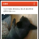 +몇마디추가)<b>동물</b>학대해놓고 자랑이라고 카스에 올려논 무개념녀