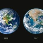 더이상 지구는 푸른별이 아닙니다.