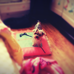 울<b>강</b><b>쥐</b>짤하나더