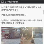 오유와 <b>일베</b>의 첫인상 입니다