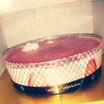 진짜어이없다니ㅡㅡ