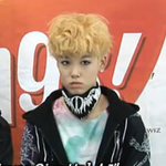 <b>젤로</b>
